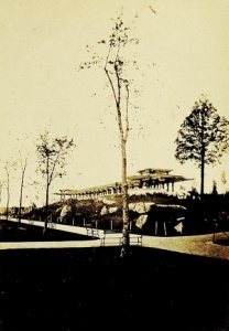The Mall in 1864 (yes, those are the elms)