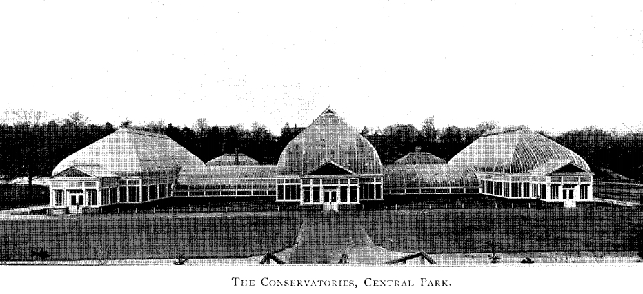 Lost Central Park – north end